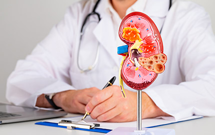 Best Kidney Health in Jaipur