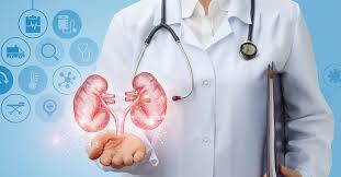 Best Kidney Hospital