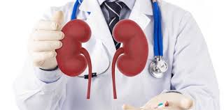 Best Nephrologist in Jaipur