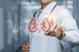 Kidney Care in Jaipur – Best Treatment at Agrawal Hospital, Malviya Nagar